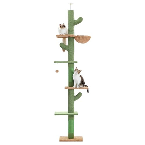 Pawz Road Cactus - Torre Para Gatos De Piso A Techo Con Altu