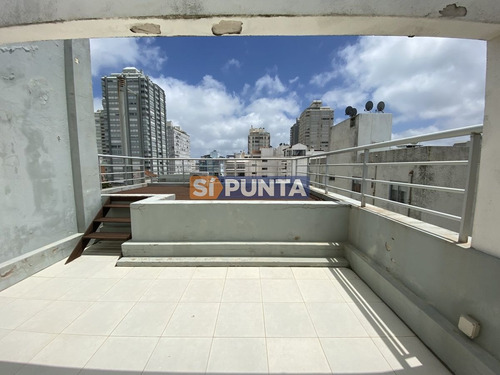 Imagen 22 de 22 de Apartamento En Alquiler - Peninsula