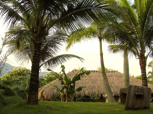 Guaratiba, Casa Cinematografica Com 250m², 3 Suites, Area Com 3.000m² Vista Deslumbrante!!! - St00011 - 33106892