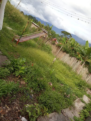 Imagen 2 de 4 de Cc Granja En El Topon Via Rubio