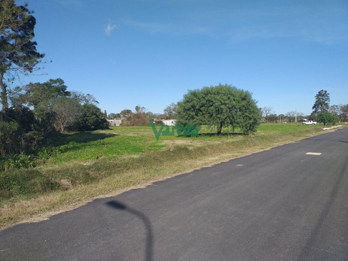 Imagen 2 de 8 de Venta De Terrenos En Lagomar Nuevo Barrio ,