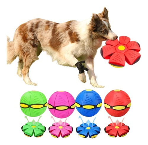 Pelota Interactiva Para Perro Frisbee Volador Saltarin 