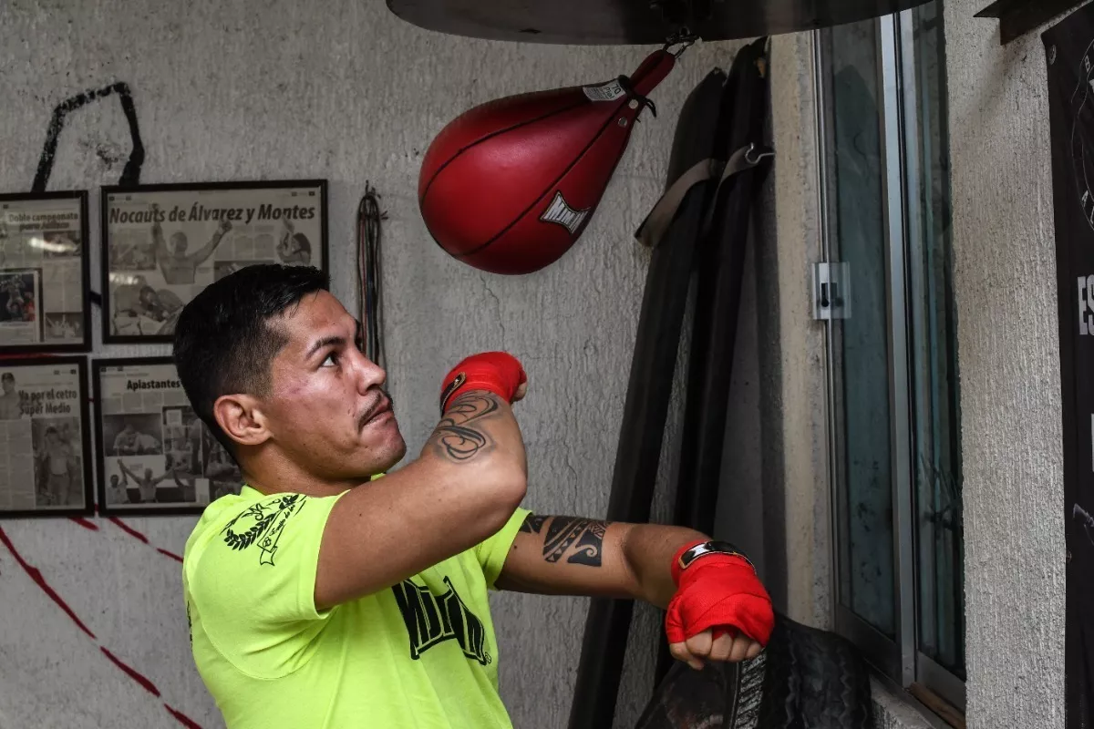 Tercera imagen para búsqueda de pera de boxeo con base