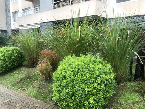 Imagen 2 de 14 de Departamento En Venta Con Jardín - Antares 2 Ambientes