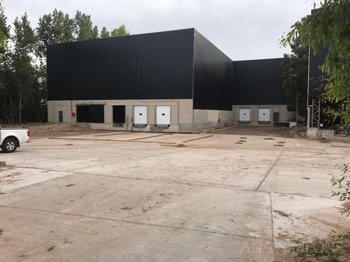 Nave Industrial - Alquiler - Escobar