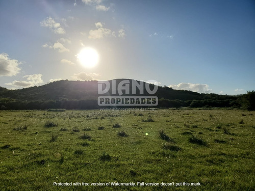 Campo En Ruta 8 - Marmarajá - Lavalleja