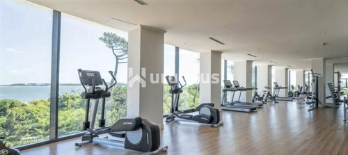 Alquiler Departamento Paramount Punta Del Este