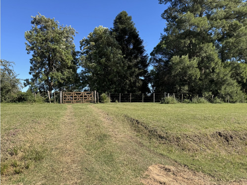 Vendo Lote De 1 Ha En Talita, Concepción Del Uruguay, Entre Ríos.