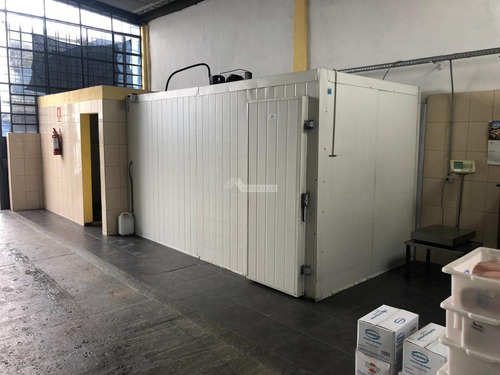Imagen 6 de 21 de Local Galpon Venta Balbin Y Vallejo Antel Arena Con Cámara De Congelado Y De Frío