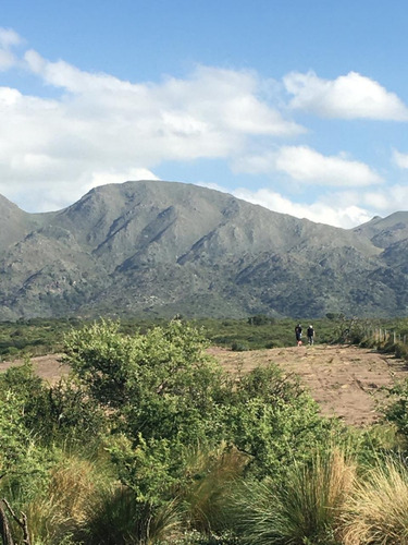 Terreno En Venta En El Morro San Luis 5 Hectáreas