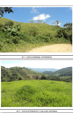 Venta De Finca Ganadera De 1000 Hectareas, Facil Acceso En Nirgua Yaracuy (salom)2
