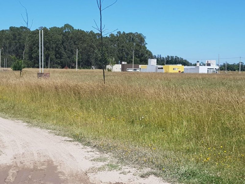 Imagen 4 de 5 de Terreno En Venta En Paraje Chacras De Atlantida