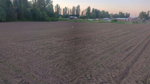 Terreno En Comuna De Retiro, Región Del Maule