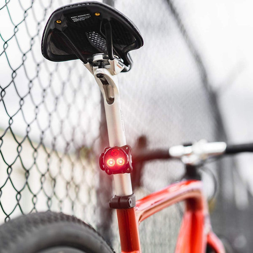 Zec O A Drive Uz Ras A Ara Bici E A, Bri An E 80 ...