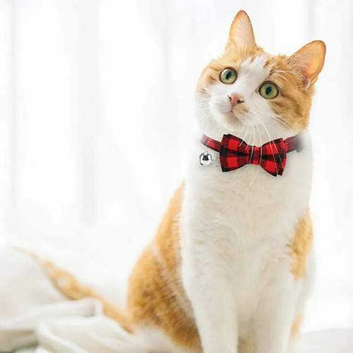 Collares Para Gatos Collar De Gato Con Cascabeles