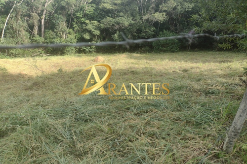Imagem 7 de 14 de Terreno - Te00068 - 70716178