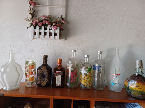 Liquido Lote De 9 Botellas De Colección Vacias