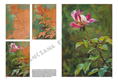 Coleção Leonardo Vol. 22 - Desenho E Pintura - Flores