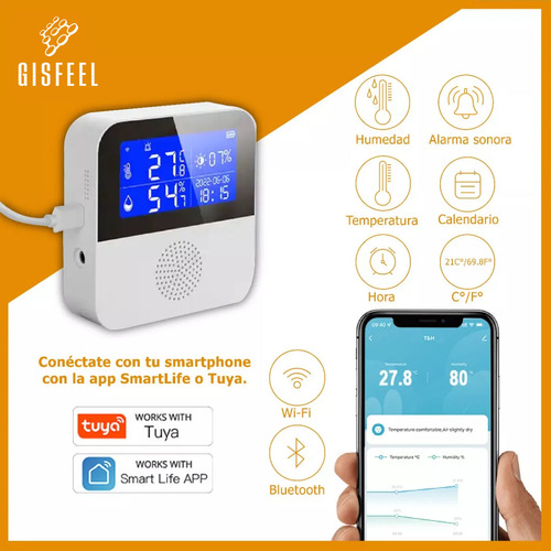 Panel Digital Sensor De Temperatura Y Humedad C/ Sonda Smart