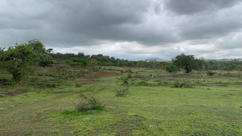 Terrenos Rusticos. A 20 Minutos De Oaxtepec.