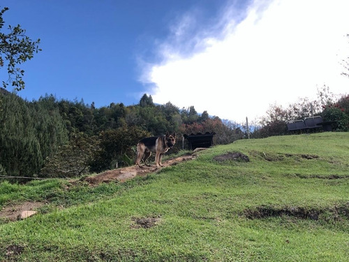 Imagen 17 de 20 de Hermosa Finca En Venta El Carmen De Viboral