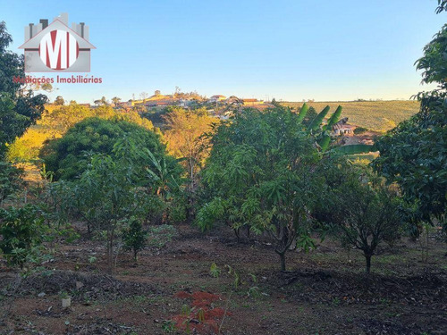 Imagem 13 de 30 de Ótima Chácara Com 4 Dormitórios, Edícula, Salão De Jogos, Pomar, Horta, Bem Localizada, À Venda, 5000 M² Por R$ 630.000 - Zona Rural - Pinhalzinho/sp - Ch0984