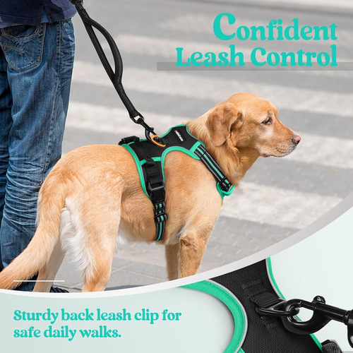 Arnés Para Perro Rabbitgoo No Pull Ajustable Con 2 Clips M