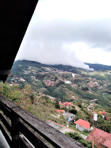 Imagen 10 de 16 de Chalet Colonia Tovar Cerca Del Pueblo