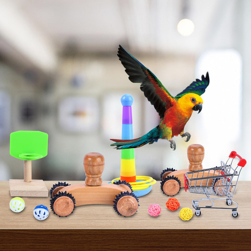 1 Juego De Kit De Baloncesto Parrot Toy Bird, Juguete Para M