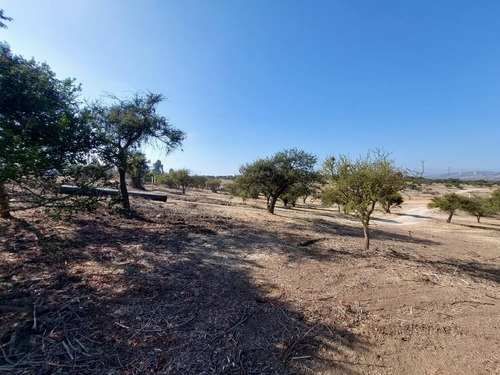 Se Vende Terreno Orilla Calle Los Laureles Limache