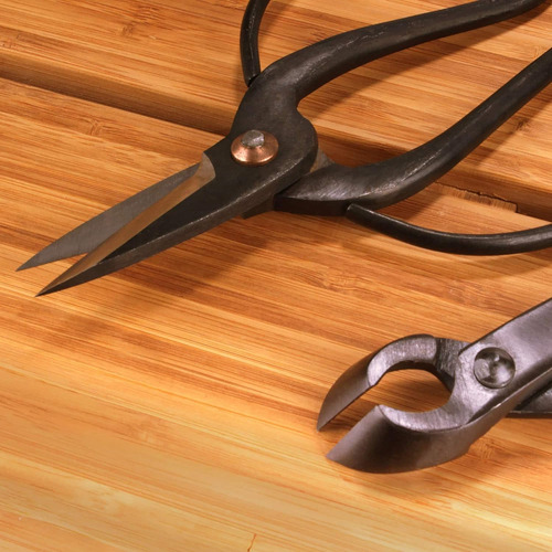 Set Cortador De Bonsai Bamboomn Cortador Cóncavo + Cizalla