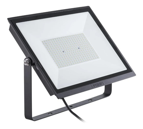 Reflector Proyector Led 50w Philips Exterior Luz Día E631