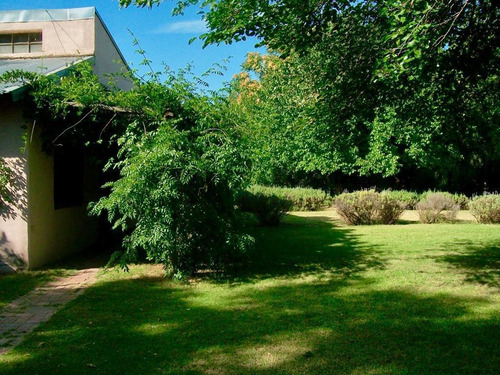 Imagen 30 de 30 de Venta - Finca - Cañada Seca Retasada