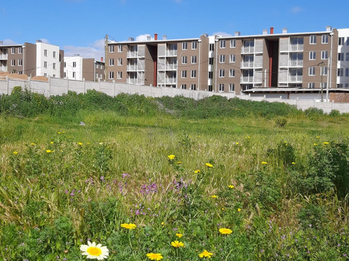 Terreno Limache Sector San Alfonso 