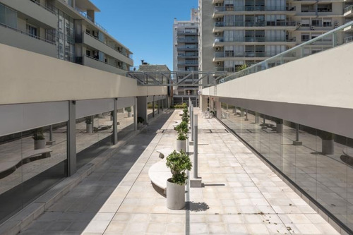 Imagen 2 de 9 de Excelente Local Comercial En Zona Céntrica - Eds 3 L13 Campiglia