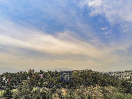 Terreno En Venta En Olivar Del Conde