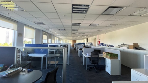 Alquiler Oficinas | Torre Intecons | Piso De 900 M²
