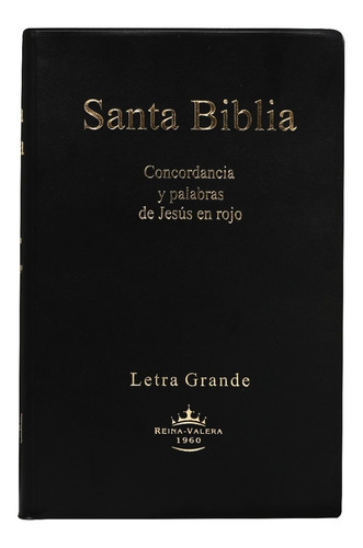Biblia Rvr1960 Letra Grande Pasta Vinil Color Negro
