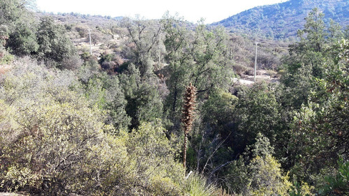 Reserva Oasis De La Campana, Ocoa