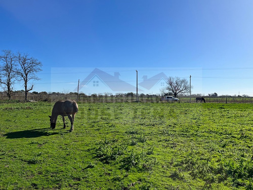 Parcela / Quinta / Chacra / Lote De 1 Ha. (10.000 M2) En Venta. Excelente Ubicación De General Belgrano. Zona De Calle 111 Y 178, Sociedad Rural.
