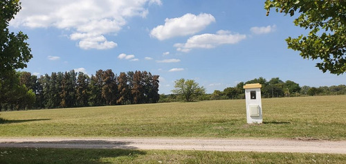 Terreno En Venta En La Cecilia