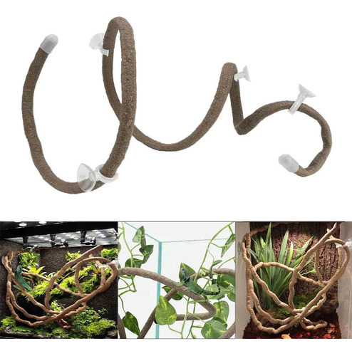 3 Terrario Reptiles Enredaderas Selva Escalada Style C