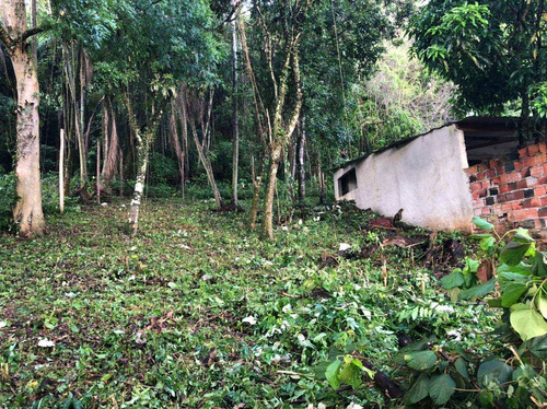 Imagem 3 de 8 de Terreno, Itaim Mirim, Santana De Parnaíba - R$ 100 Mil, Cod: 235506 - V235506