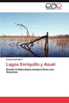 Libro Lagos Enriquillo Y Azuei - Andreas Schubert