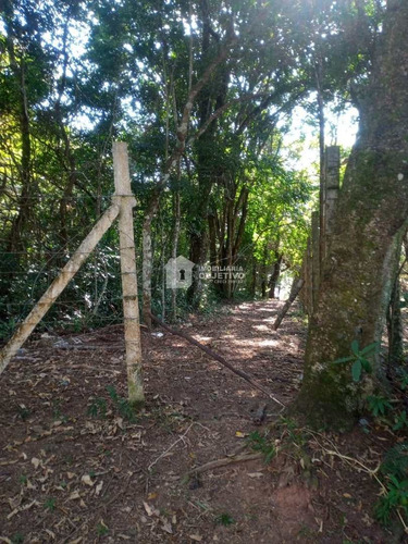 Imagem 7 de 9 de Terreno, Água Espraiada (caucaia Do Alto), Cotia - R$ 1 Mi, Cod: 4205 - V4205