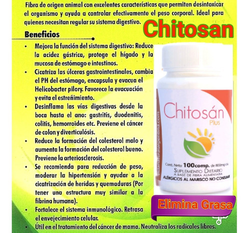 30 Parches Slim Patch + Chitosan Plus Adelgazannte