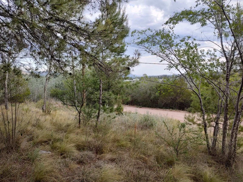 Imagen 13 de 24 de Terreno En Venta De 909m2 Ubicado En Villa Giardino
