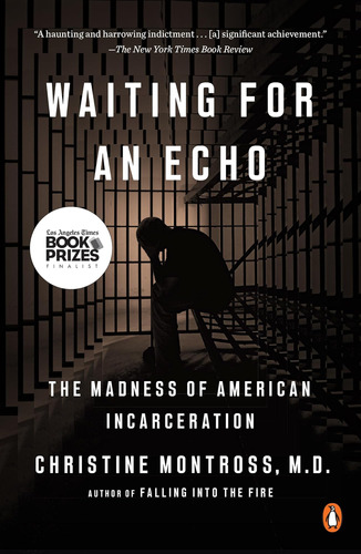 Libro: Waiting For An Echo: The Madness Of American