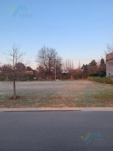 Imagen 8 de 23 de Terreno - Ayres Plaza
