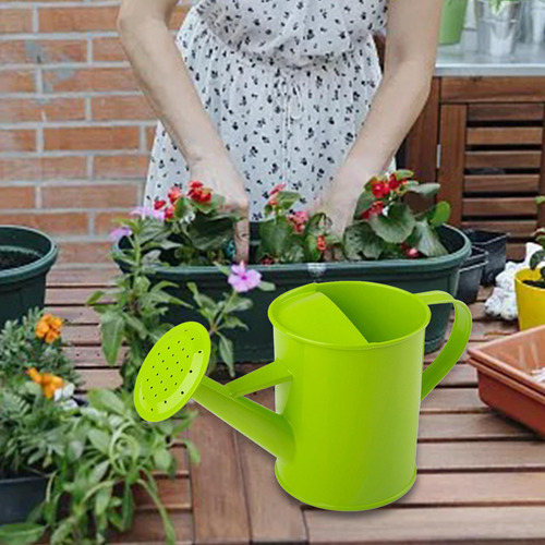 Regadera De Jardín, Maceta Moderna Con Mango